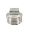 스테인레스 강 나선결합된 관 이음쇠 나사관 맞춤 사각 헤드 plug,150PSI, SS304 SS316