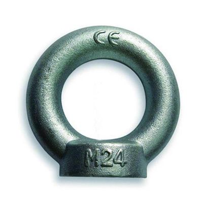 두배 와셔 및 너트 SS304 /SS316과 스테인레스 강 DIN580 메달아올리기용고리붙이볼트 DIN582