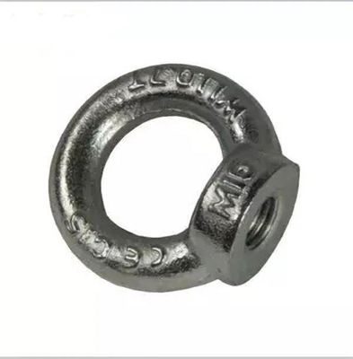 두배 와셔 및 너트 SS304 /SS316과 스테인레스 강 DIN580 메달아올리기용고리붙이볼트 DIN582