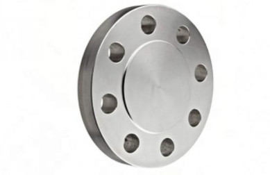 BLFLG-2-600-F51 - 맹인플랜지 2 ", CL 600, B16.5 182 Ｆ 51