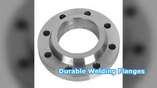 용접 넥 플랜지 SS304 SS316 PN6